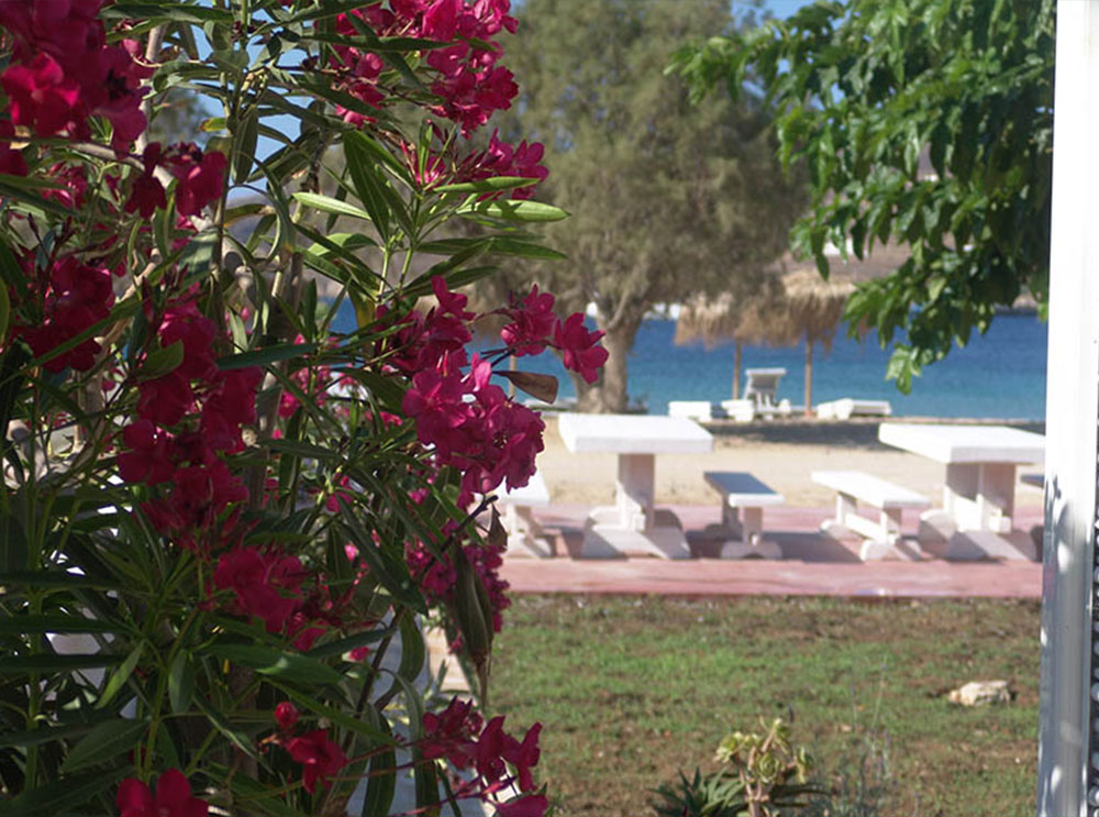 Δωμάτια Avlomonas Beach, παραλία Αυλόμωνας - Σέριφος
