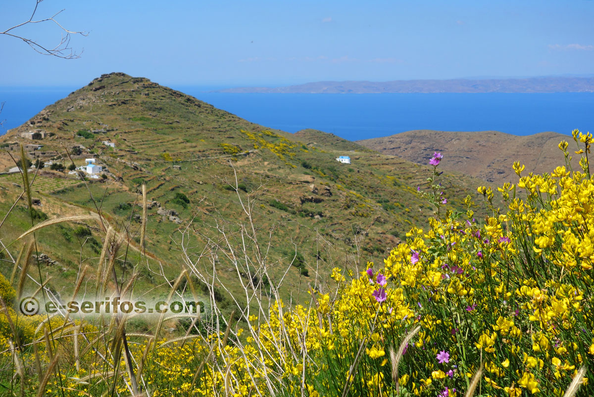 Εκκλησάκια στη Σέριφο σε ανοιξιάτικο τοπίο